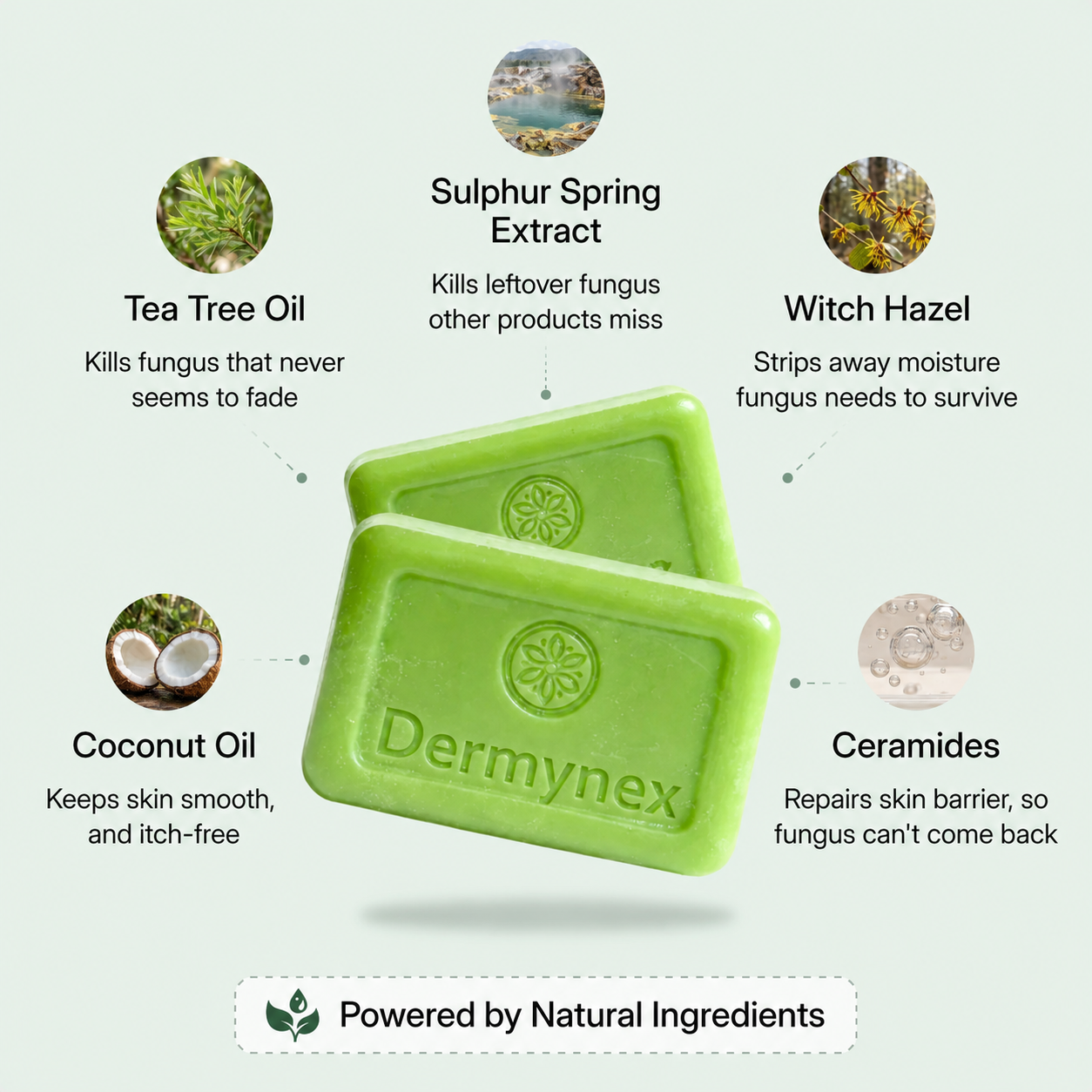 Dermynex Antifungal Soap
